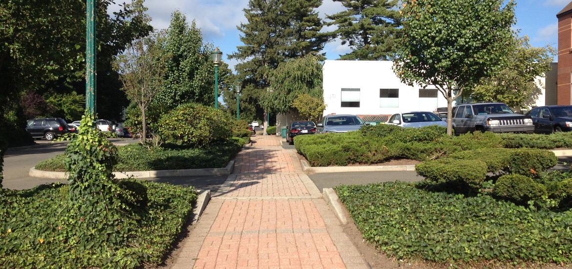 Commercial landscaping and snow management