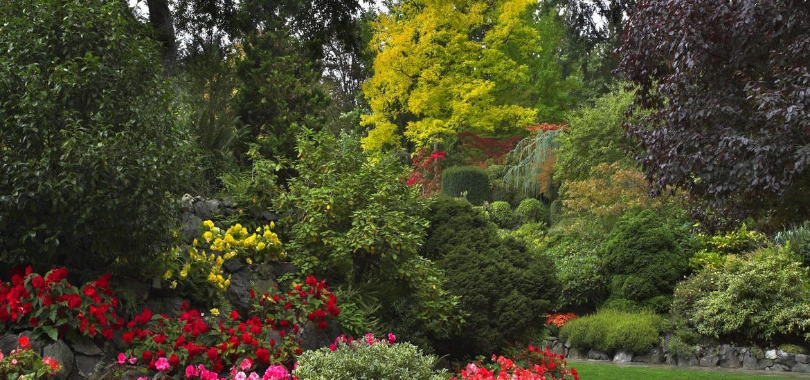 Residential landscaping