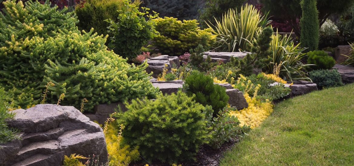 Lush green maintained landscape