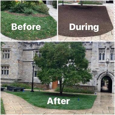 Lawn and property maintenance
